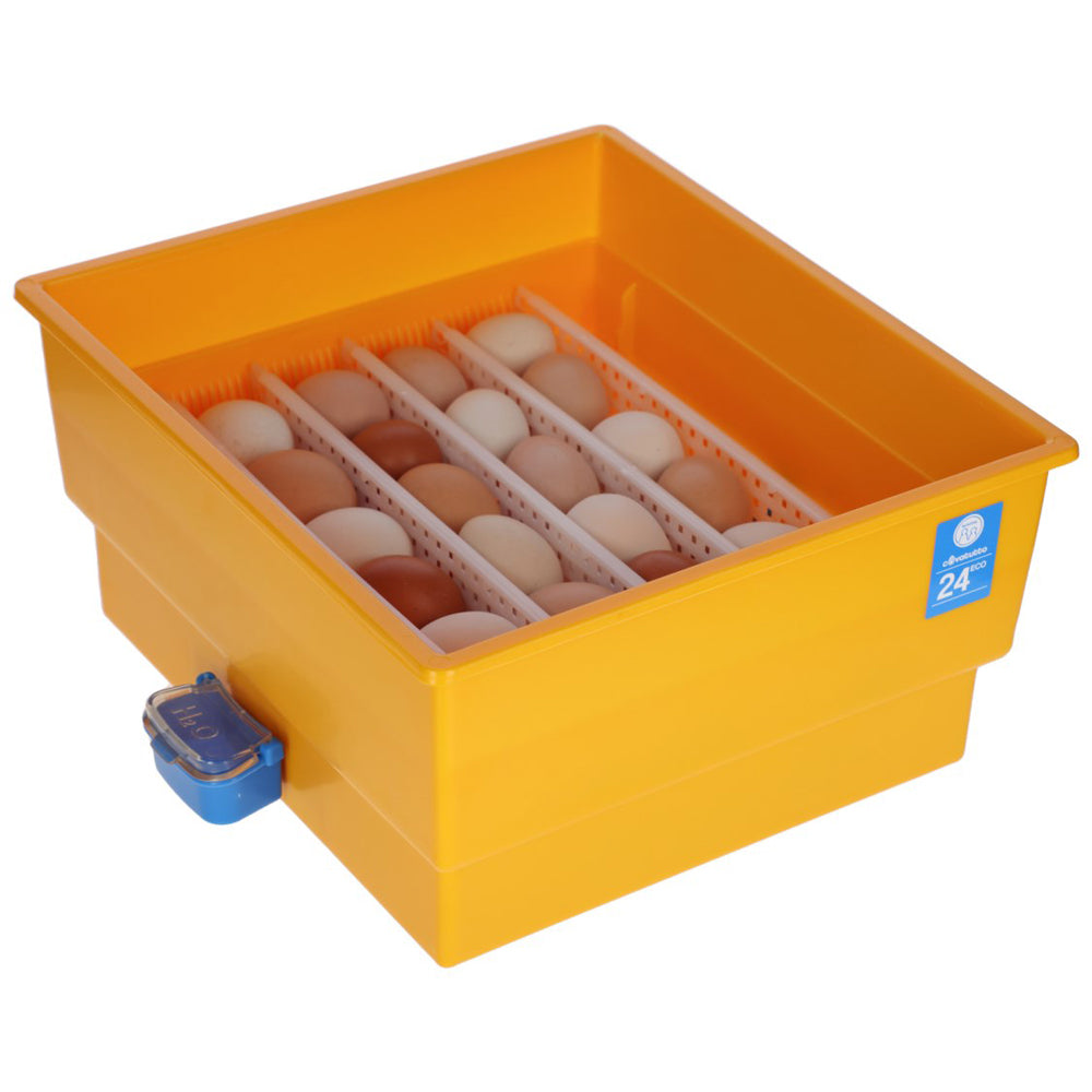 Automatic incubator Covatutto 24 ECO with electronic thermostat