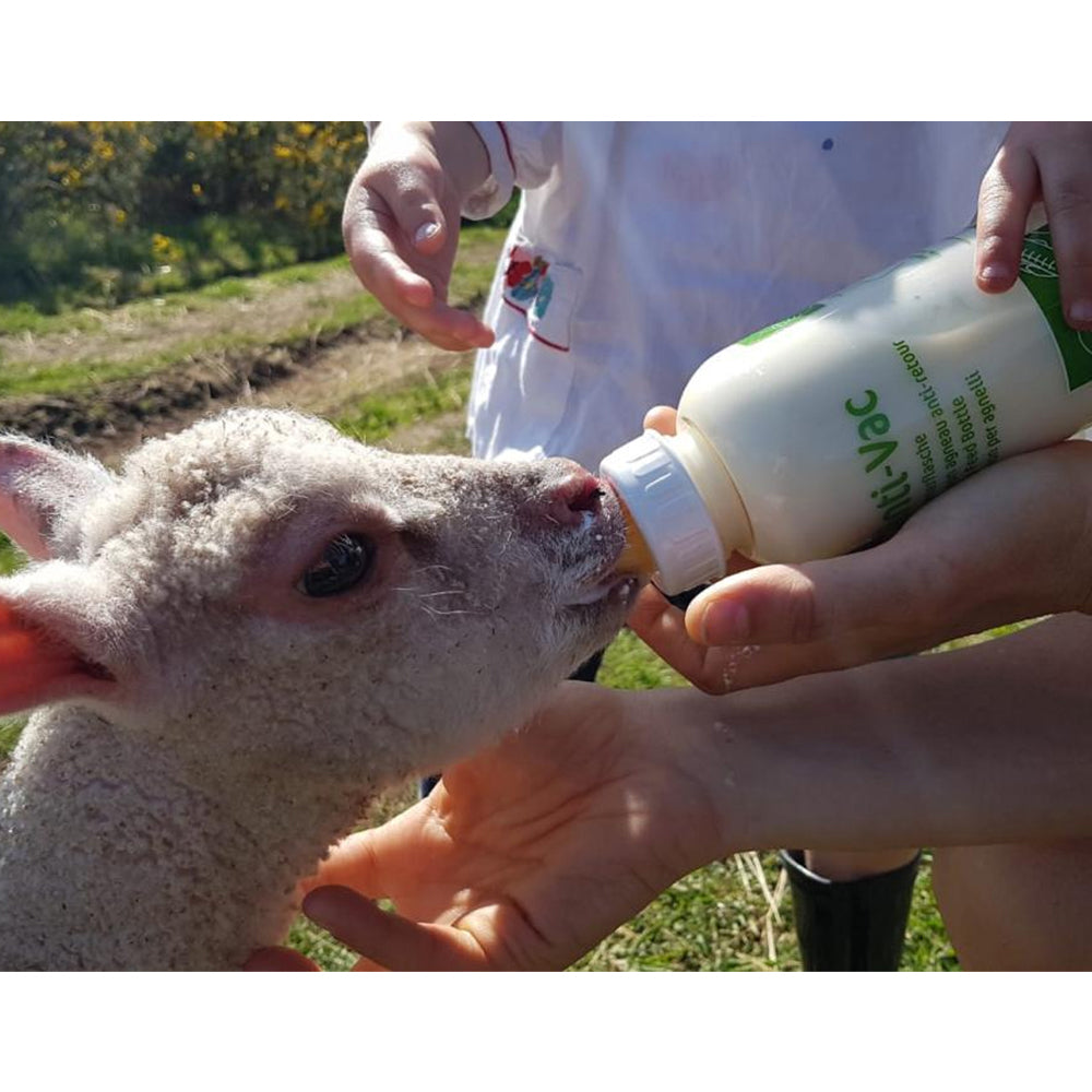 Bottiglia per agnello Anti-Vac completa di beccuccio per tettarella per un facile riempimento