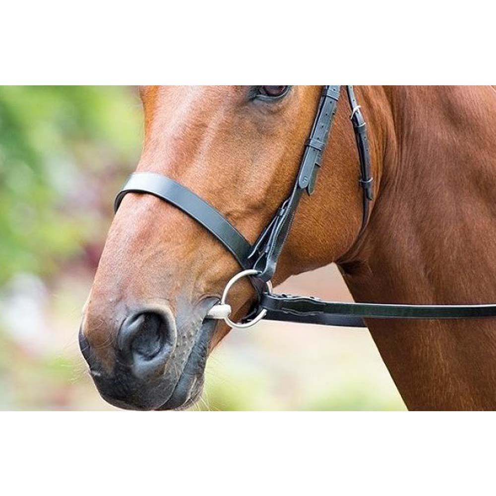 Hohles Wassergebiss: Komfort und Kontrolle für Ihr Pferd