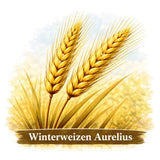 Winterweizen Aurelius konv. 30kg