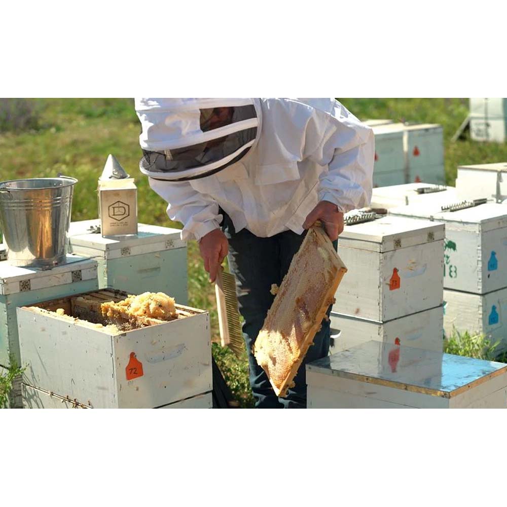 Essigsäure 60% for beekeepers - 1 Lt