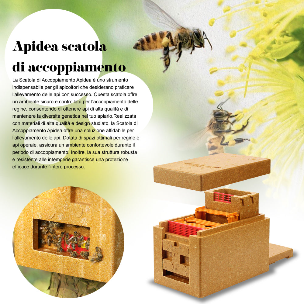 Apidea Begattungskasten Bienen