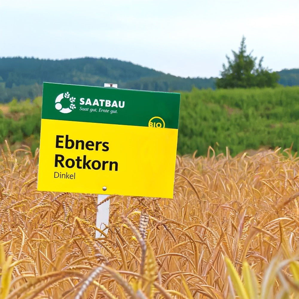Farro da Semina BIO Ebners Rotkorn 20kg