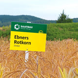 Bio-Saatdinkel Ebners Rotkorn 20kg