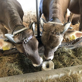 Hornerzubehör Feder für Hornsteller