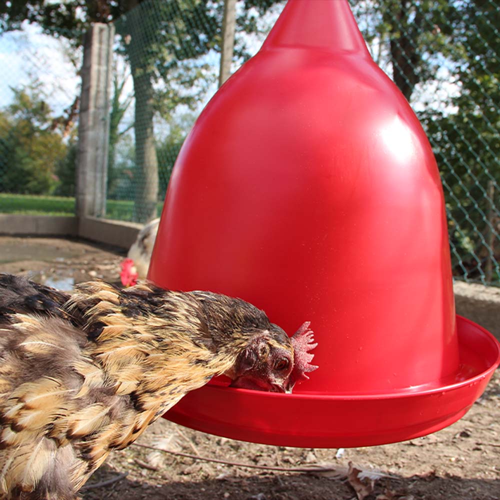 Automatic poultry drinker 