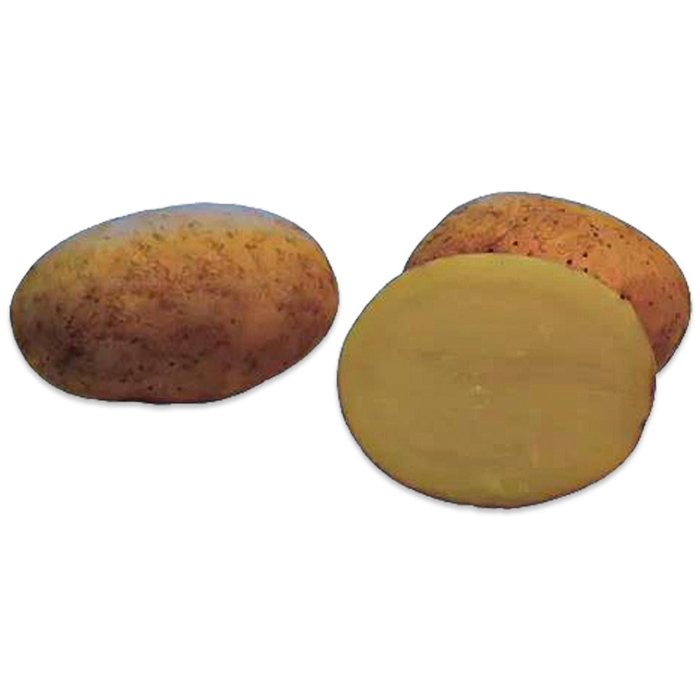 Saatkartoffel Mozart Rot Mit Gelbem Fleisch – 25Kg