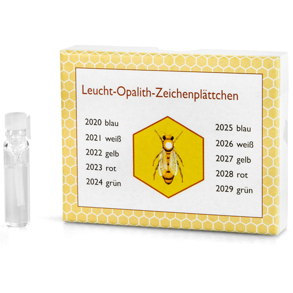 Set di Boccette Colorate per Marcatura Regine – 60 Pezzi