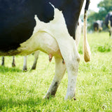 HM VIR FILM + Disinfettante per capezzoli di animali da latte