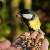 Winterfutter für Wildvögel – Hochwertiges Futter 5 kg