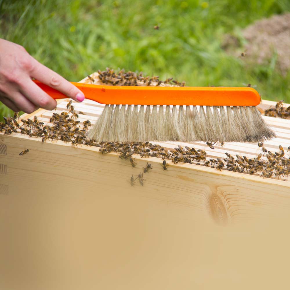 Brush with nylon bristles to gently sweep bees from the frame