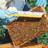 Brush with nylon bristles to gently sweep bees from the frame