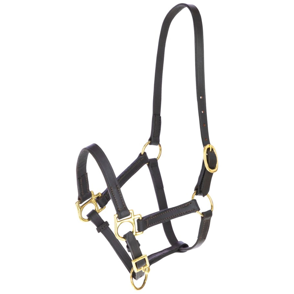 Cavezza Eco per Puledro in Cuoio Regolabile con Ferramenta Leggera e Resistente