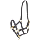 Cavezza Eco per Puledro in Cuoio Regolabile con Ferramenta Leggera e Resistente