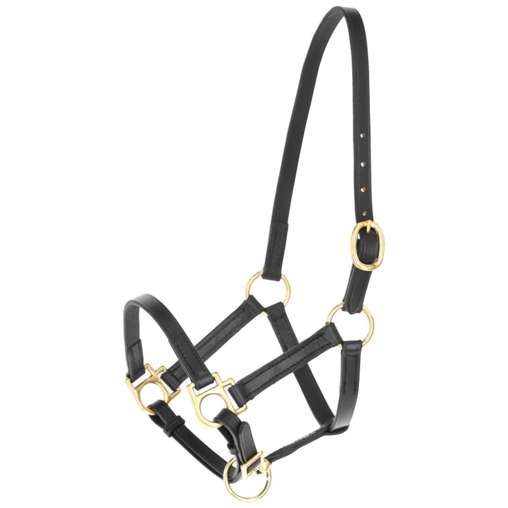 Cavezza Eco per Puledro in Cuoio Regolabile con Ferramenta Leggera e Resistente