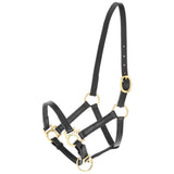 Cavezza Eco per Puledro in Cuoio Regolabile con Ferramenta Leggera e Resistente