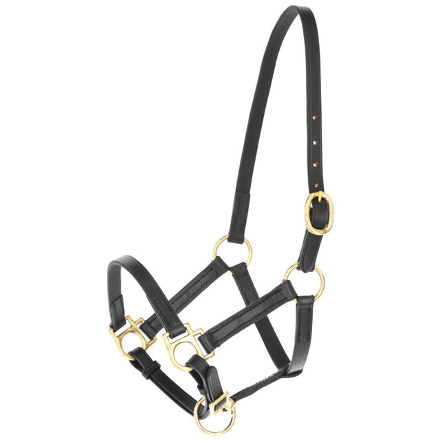 Cavezza Eco per Puledro in Cuoio Regolabile con Ferramenta Leggera e Resistente