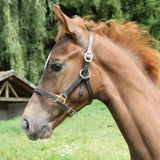 Cavezza Eco per Puledro in Cuoio Regolabile con Ferramenta Leggera e Resistente