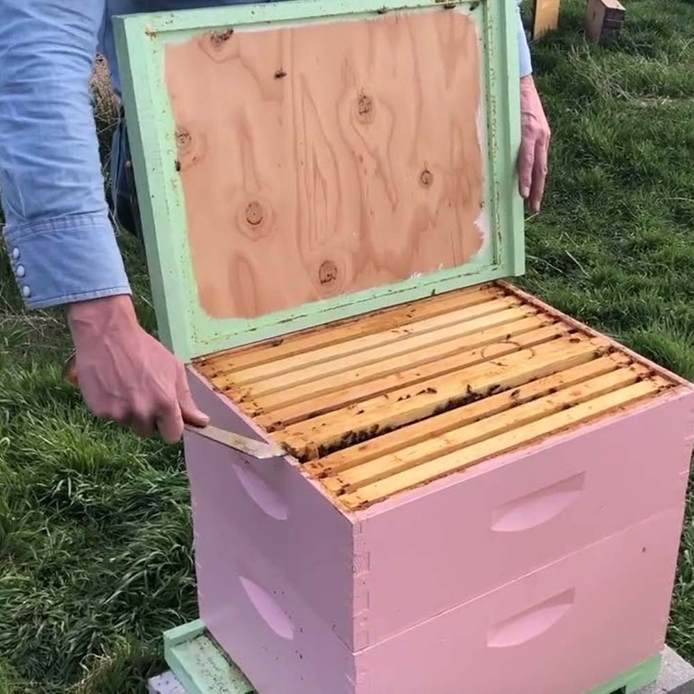 Beehive scrapers