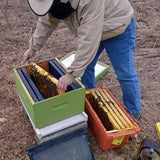 Beehive scrapers