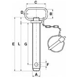 Perno di Traino con Catena e Spillo di Sicurezza