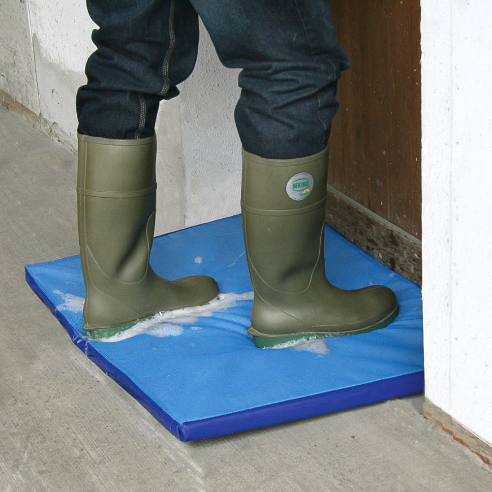 Tappetino disinfettante di colore blu