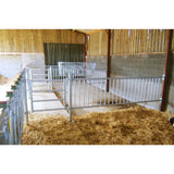 Divider for Calves 2.50m