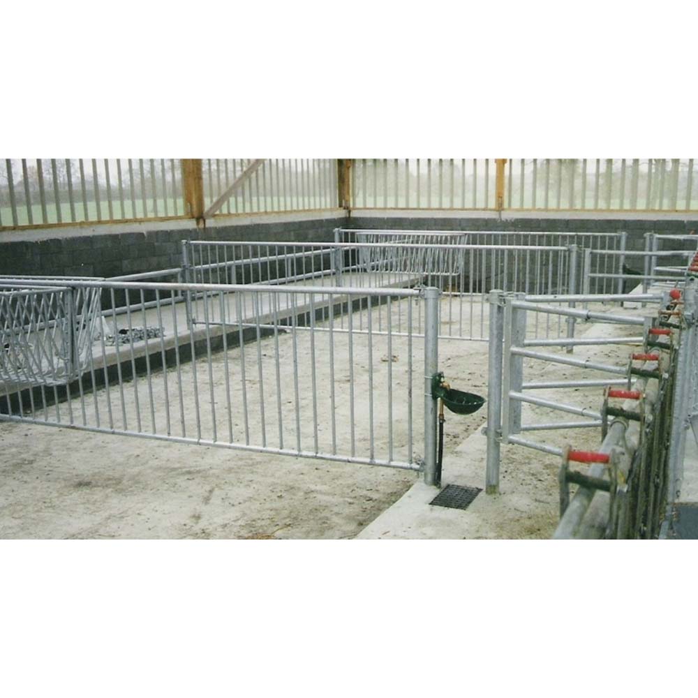 Divider for Calves 2.50m