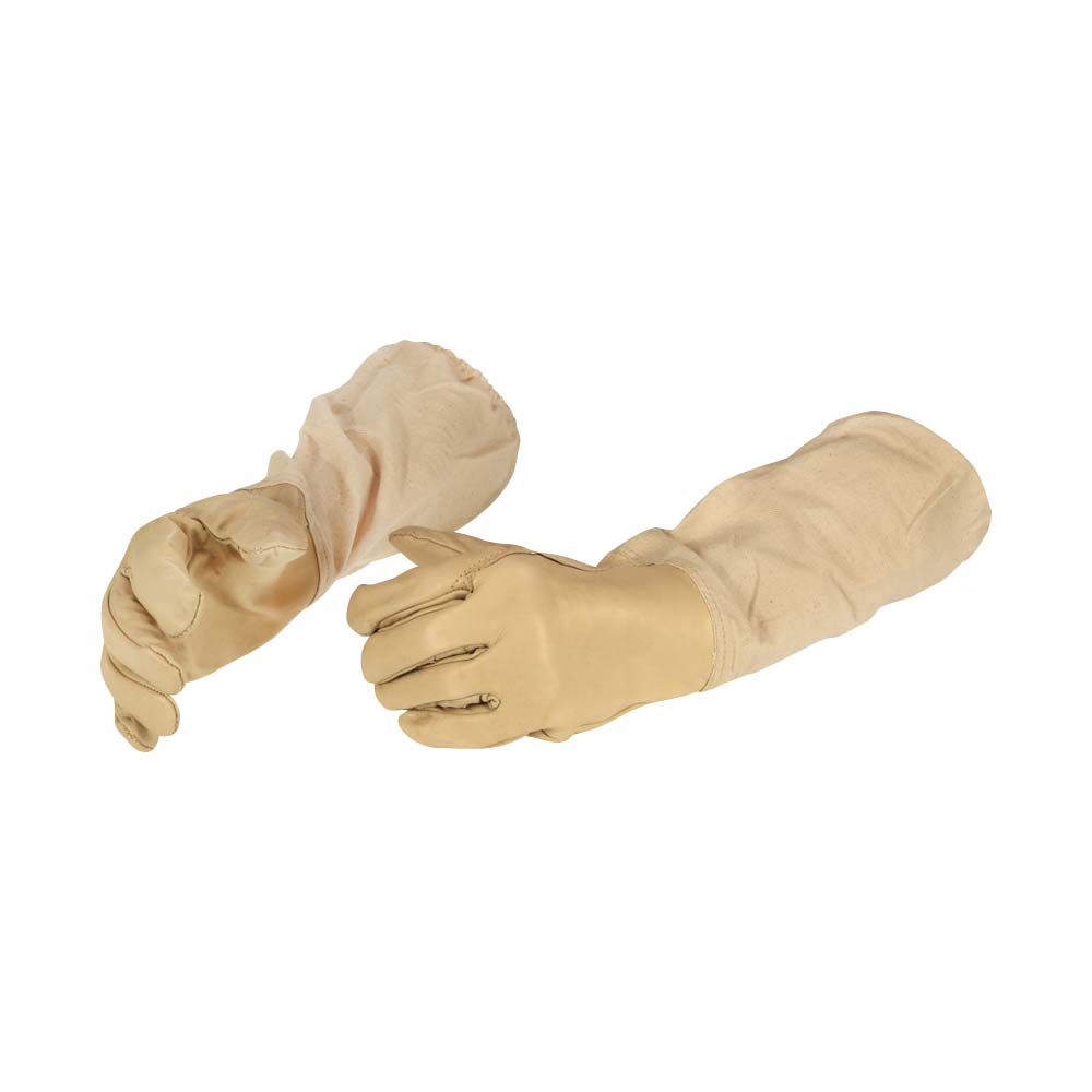 Cowhide nappa gloves