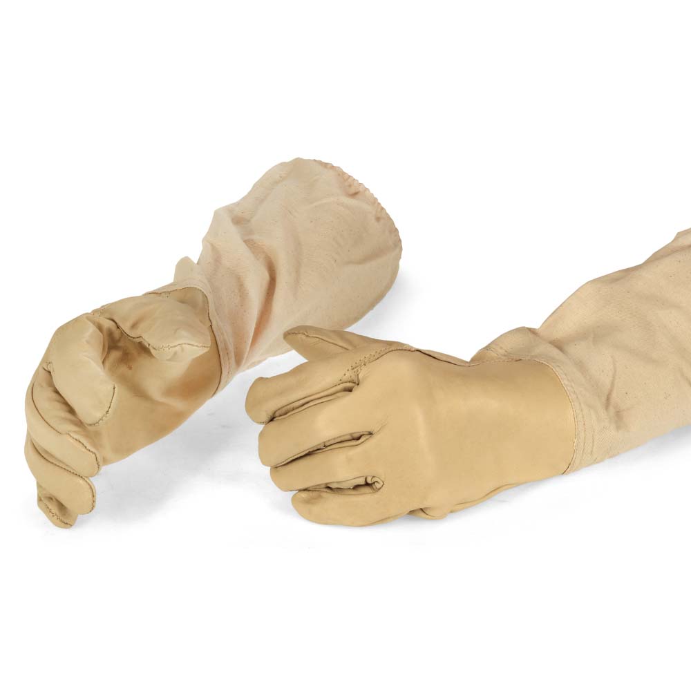 Cowhide nappa gloves