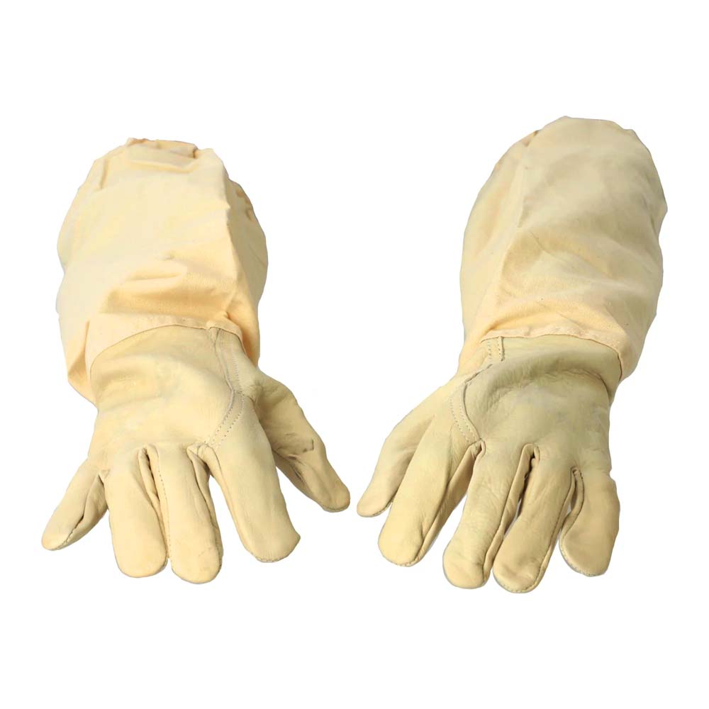 Cowhide nappa gloves