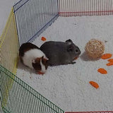 Fenced area for hamsters