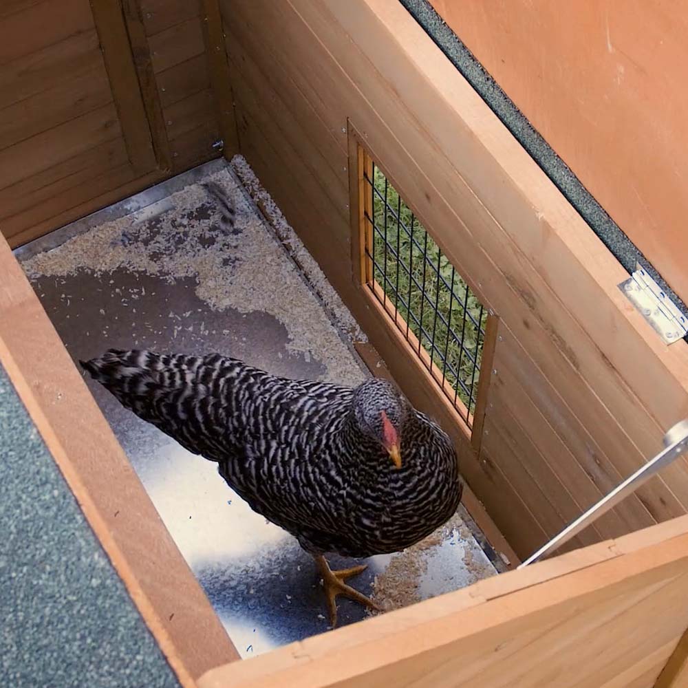 Kleintierstall für Kaninchen oder Hühner