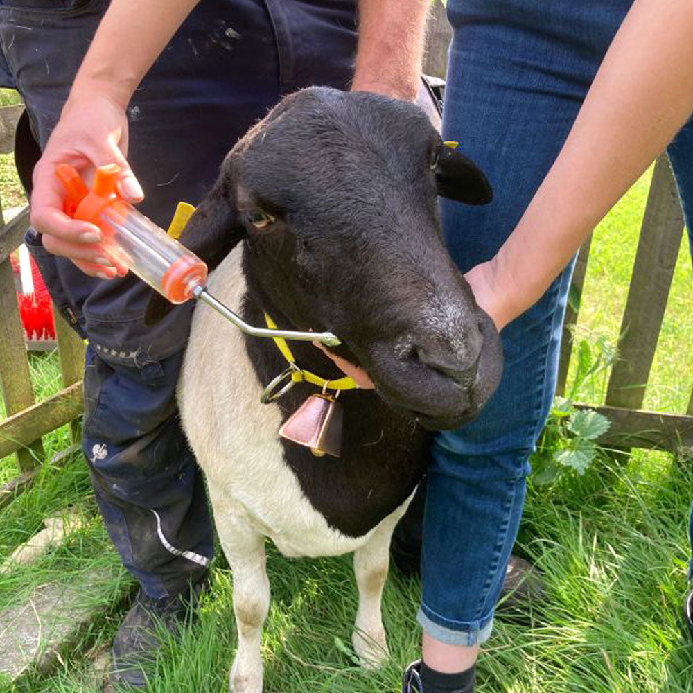 Siringa dosatrice in nylon infrangibile con graduazione