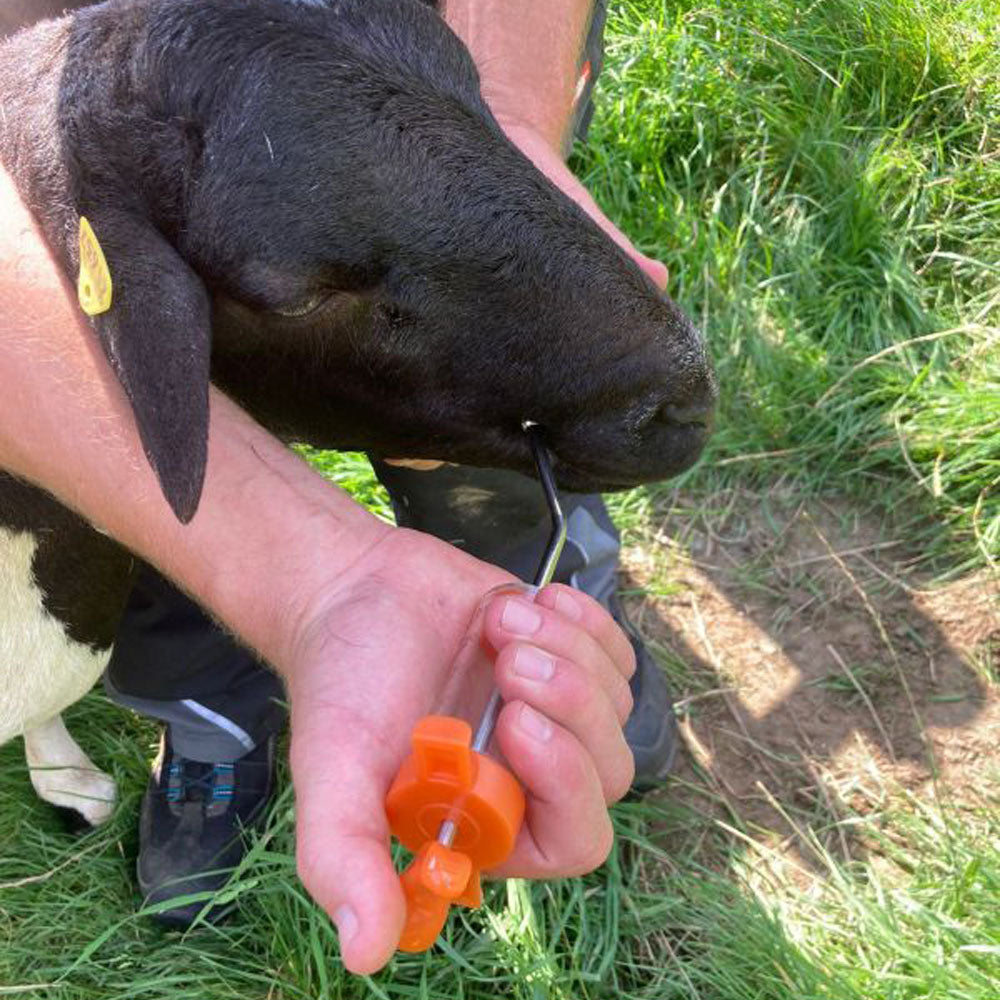 Siringa dosatrice in nylon infrangibile con graduazione