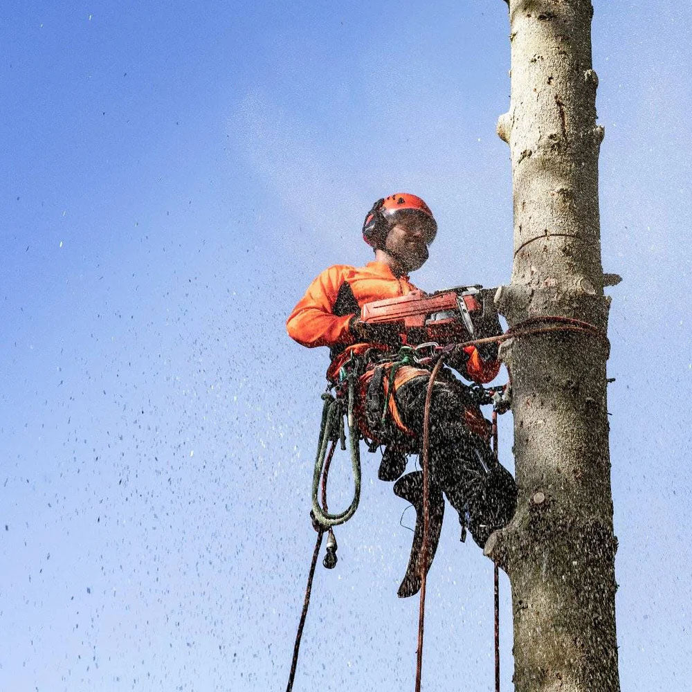 Motosega Professionale a Benzina Husqvarna 550 XP® Mark II 15