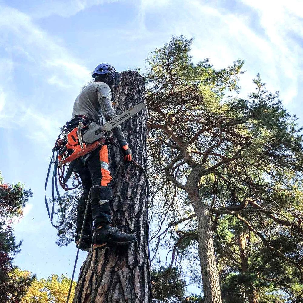 Motosega Professionale a Benzina Husqvarna 550 XP® Mark II 15