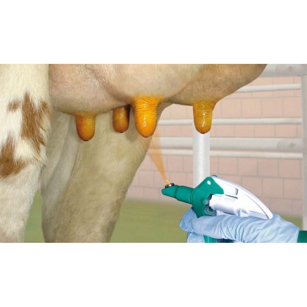 Uddero Sprayer for Udders Protection and Care for Cows