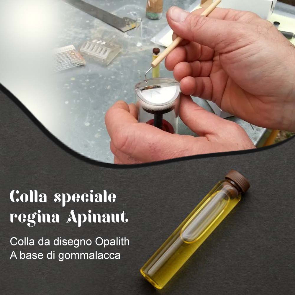 Colla speciale regina Apinaut