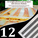 12 Plastic grid for propolis from the Dadant hive