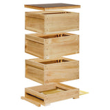 Complete liebig zander hive with flat bottom wooden hive