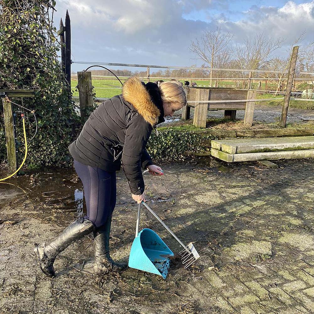 Mistboy® – Paletta Robusta con Manico Multifunzionale per una Pulizia Rapida