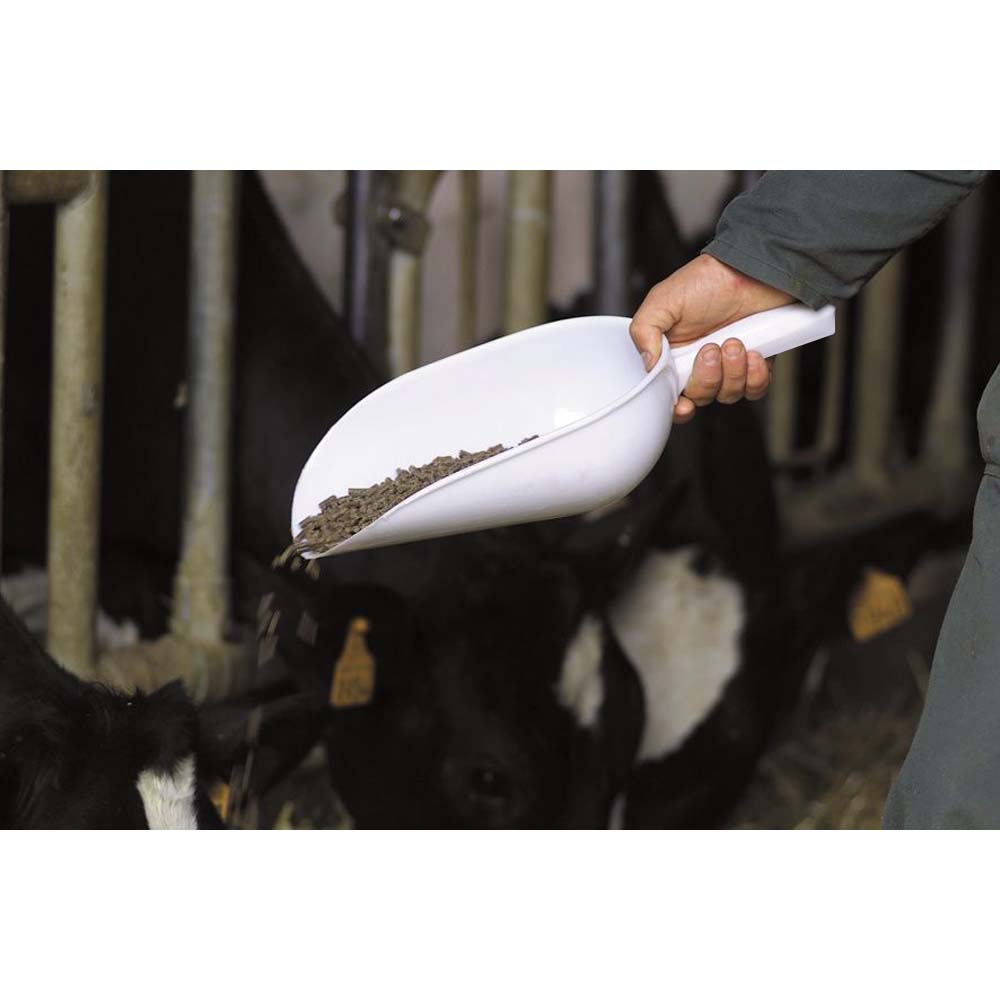 Plastic scoop for poultry