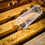 Tube for queen sampling sipa queen swab for use in apiary