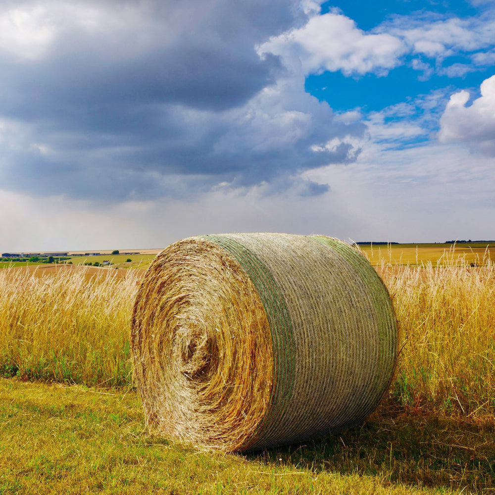 Rete per balloni Westfalia 1,23x2400m