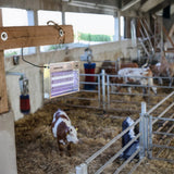 cit Elettrosterminatore EcoKill Inox IPX4