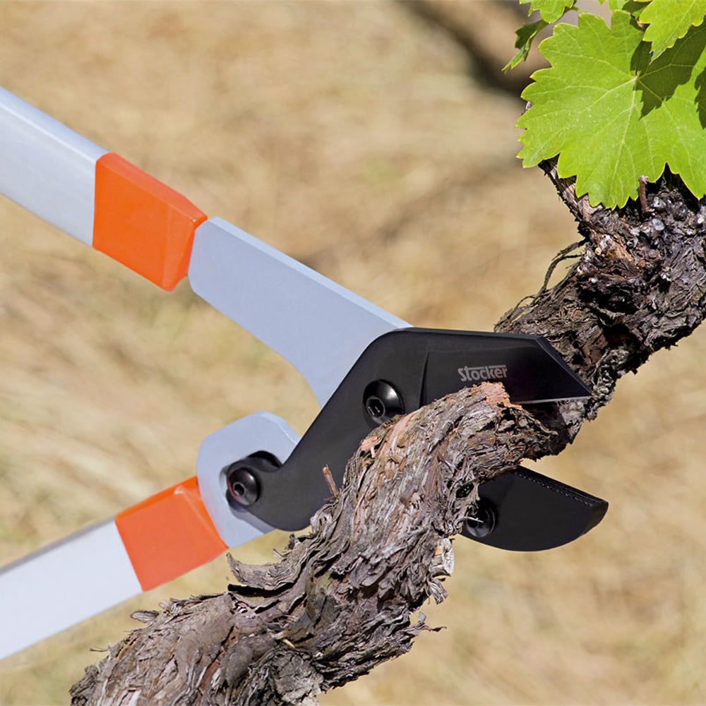 Troncarami Amboss Profi 72