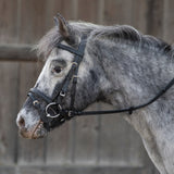 Coppia Dischi Morso in Gomma Nera