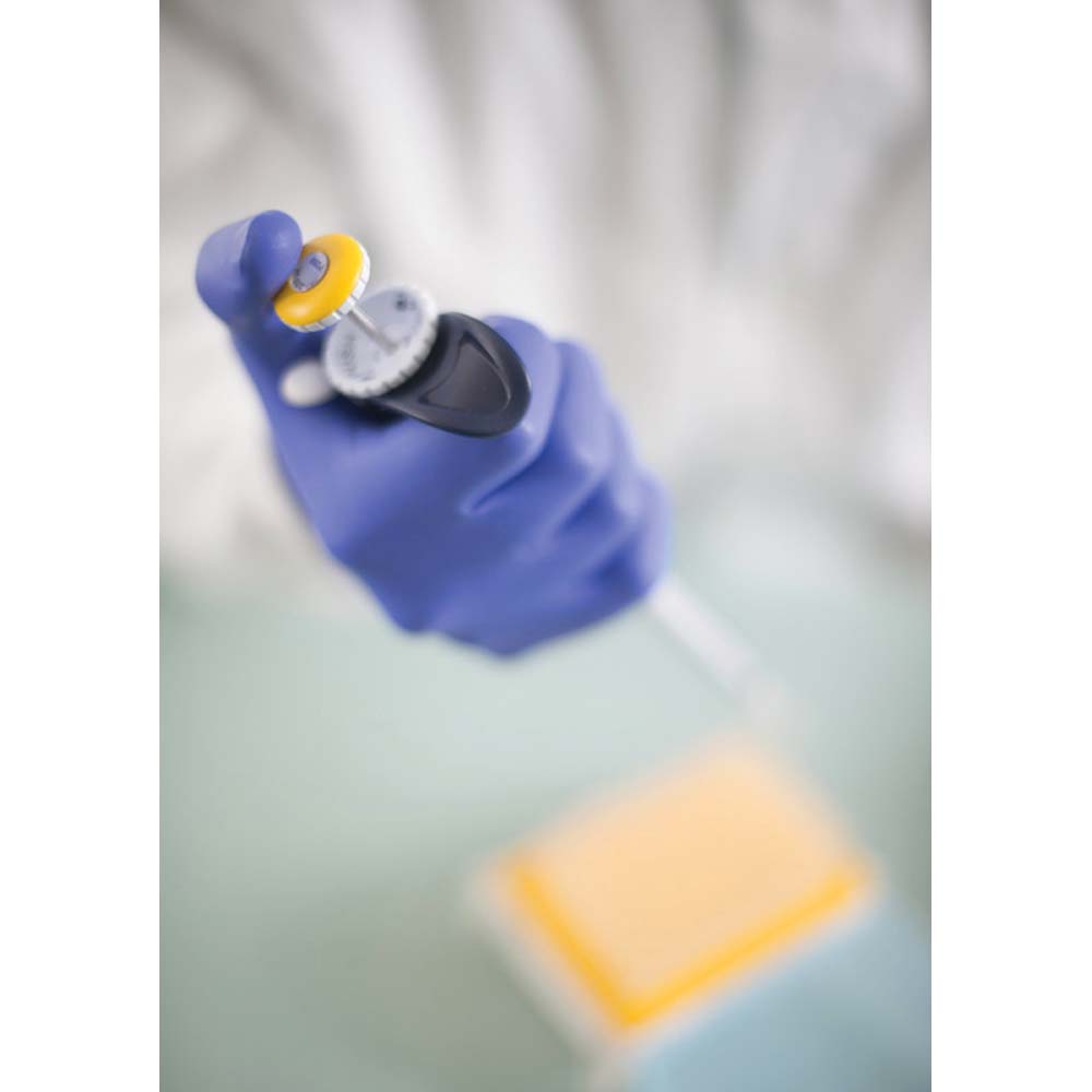 Showa 7540, 100 Disposable Nitrile Gloves Without Powder