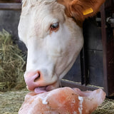 Himalaya Sale Blocchi Naturale e Puro, Fondamentale per il Mantenimento Ossa